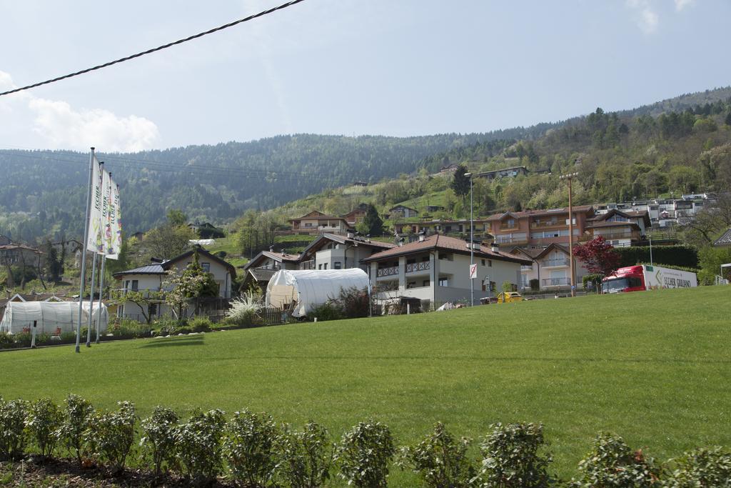 La Terrazza Sul Lago Pergine Valsugana Exteriör bild